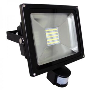 SILVER ELECTRONIC FOCO PROYECTOR LED 30W 6000K CON